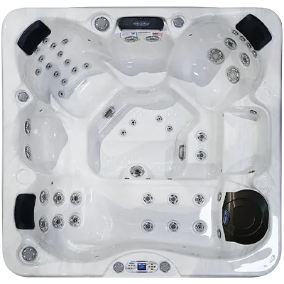 Avalon EC-849L hot tubs for sale in North Miami
